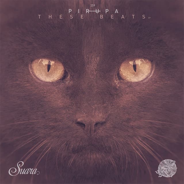 D3 cover art