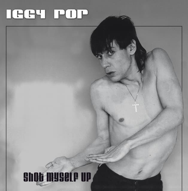 I Wanna Be Your Dog - Radio Broadcast cover art