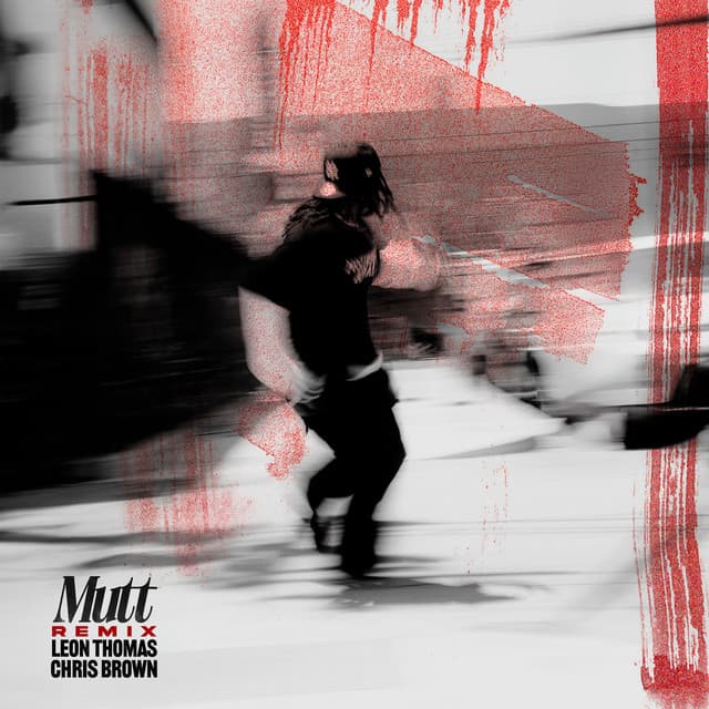 MUTT (feat. Chris Brown) [CB REMIX] cover art