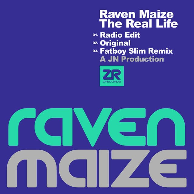 The Real Life - Radio Edit cover art