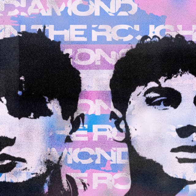 Diamond In The Rough cover art