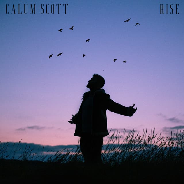 Rise cover art