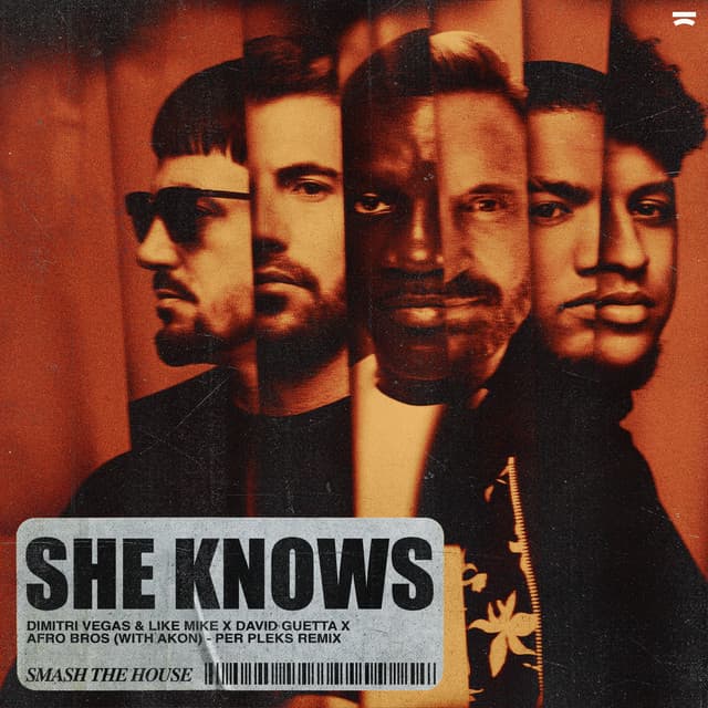 She Knows (with Akon) - Per Pleks Remix cover art