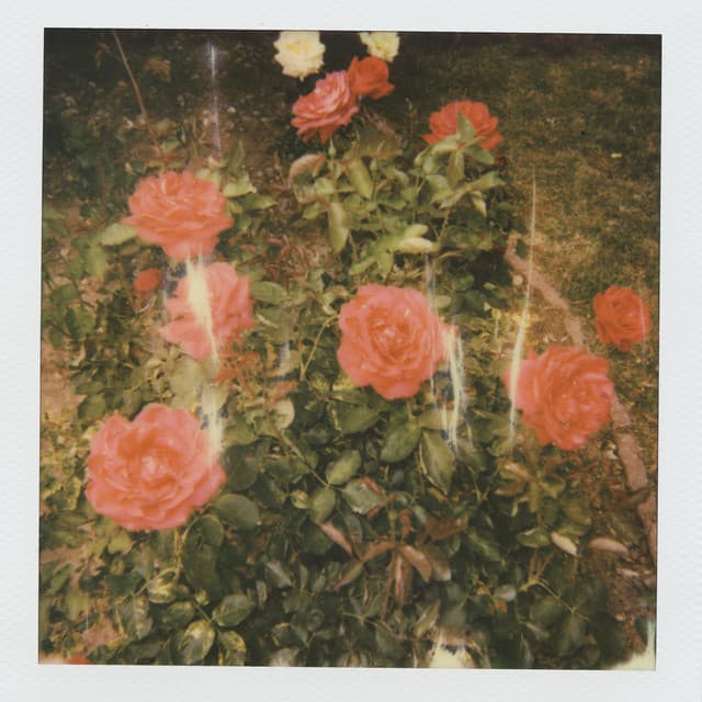 i need to be alone. cover art