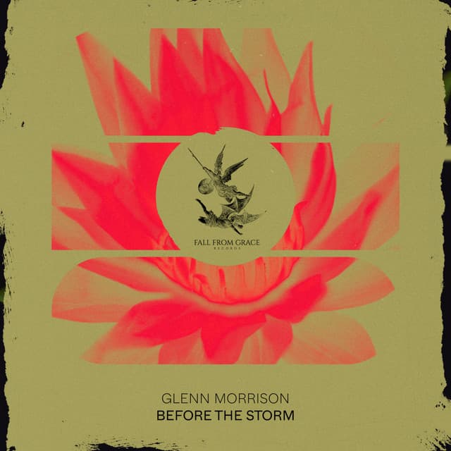 Before The Storm - Radio Mix cover art