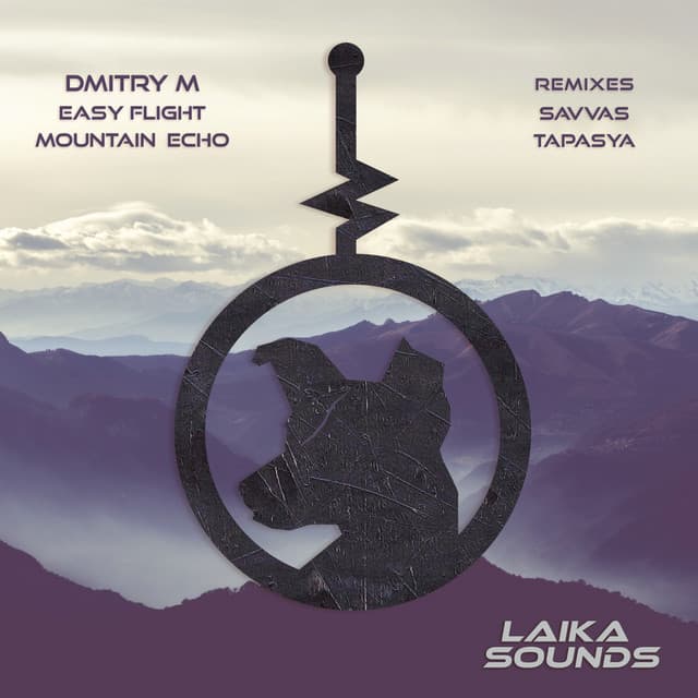 Mountain Echo - Tapasya Remix cover art
