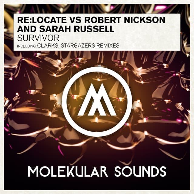 Survivor - Stargazers Remix cover art