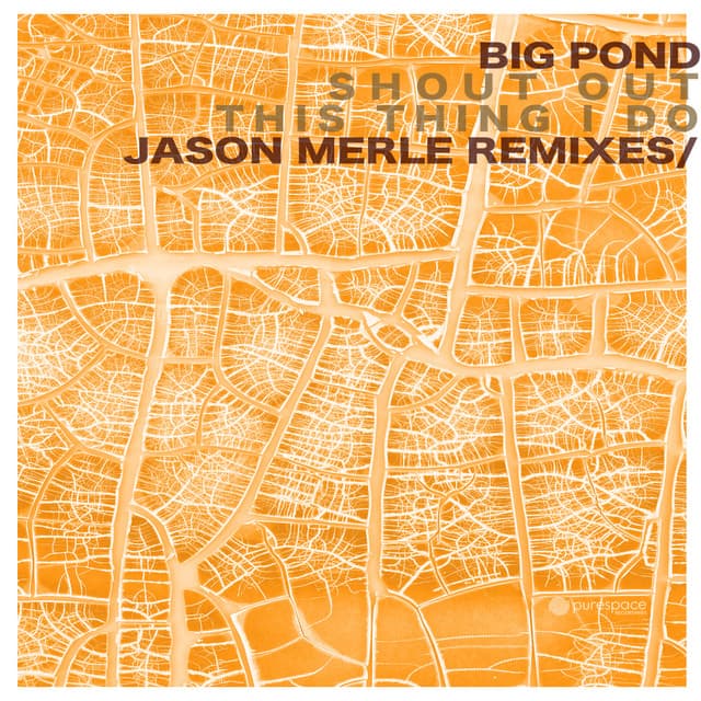 This Thing I Do - Jason Merle's Remix cover art