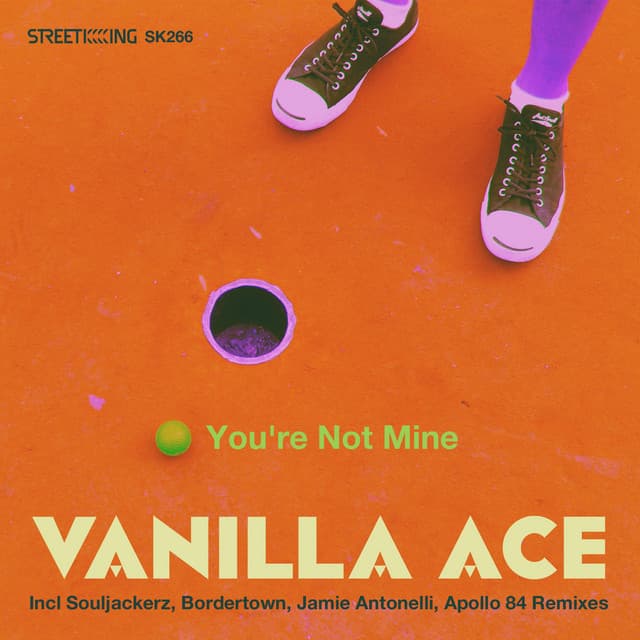 You're Not Mine - WD2N Remix cover art
