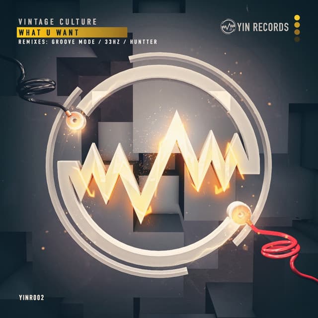 What U Want - Groove Mode Remix cover art