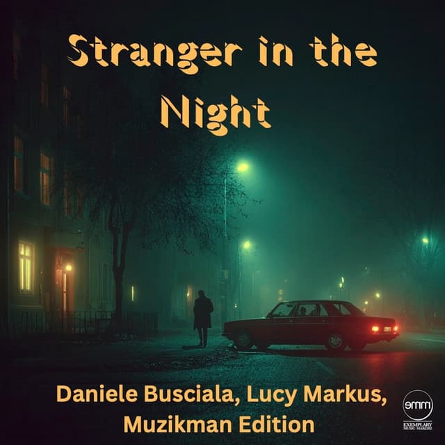 Stranger In The Night - Daniele Busciala & Muzikman Edition Instrumental cover art