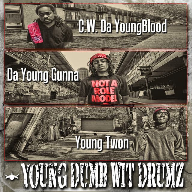 Young Dumb Wit Drumz cover art