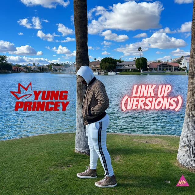 Link Up cover art