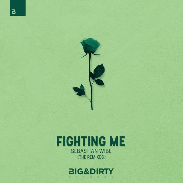 Fighting Me - Rayet Remix cover art