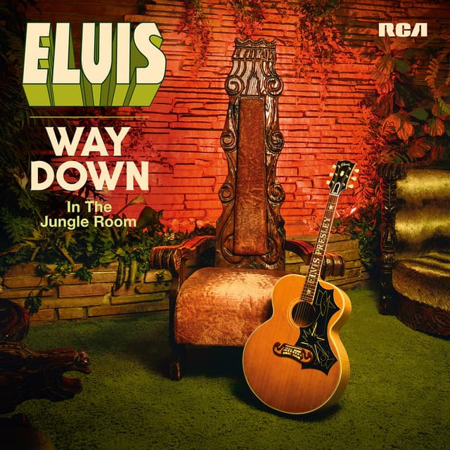 Way Down in the Jungle Room cover art
