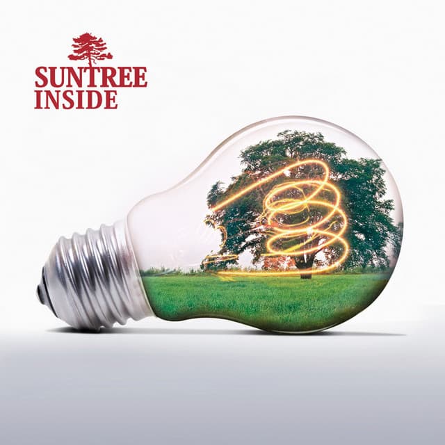 Persistence cover art