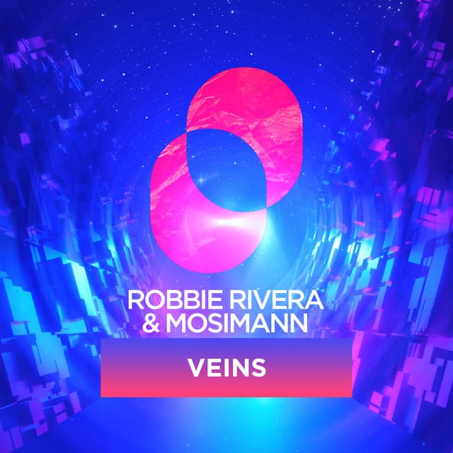 Veins - Instrumental Mix cover art