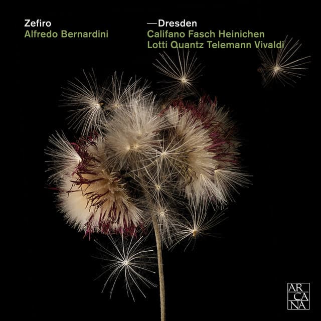 Sonata for 2 Oboes, Bassoon and Continuo in B-Flat Major, FaWV N:B2: I. Andante cover art