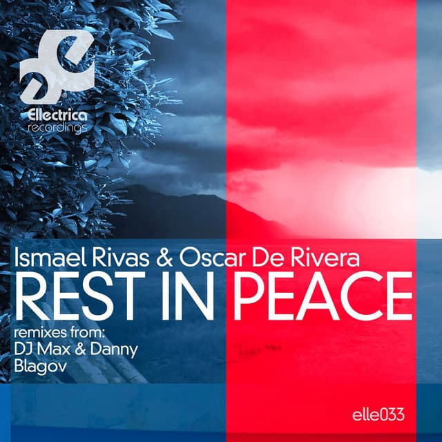 Rest in Peace - DJ Max & Danny Remix cover art