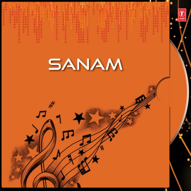 Tumko Kabhi Dekha Nahin cover art