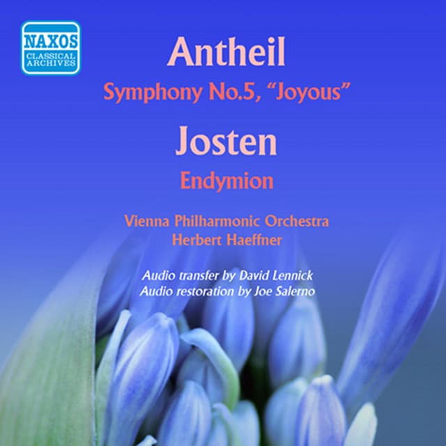 Symphony No. 5, "Joyous": I. Allegro cover art