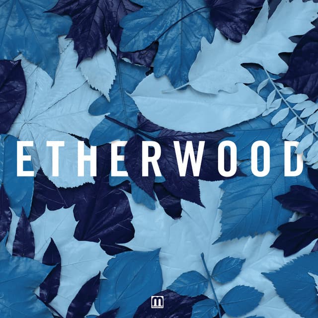 Blue Leaves cover art