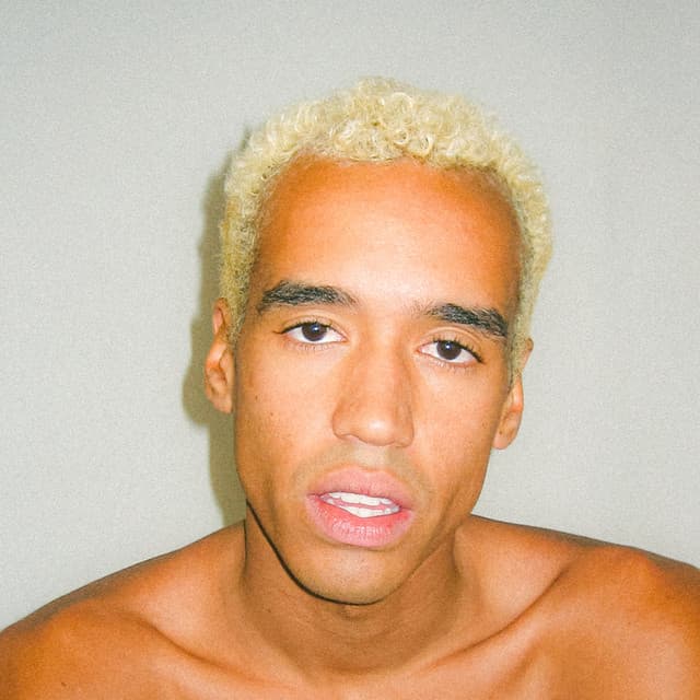 Never Home cover art