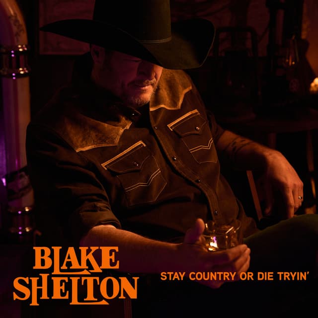 Stay Country or Die Tryin' cover art
