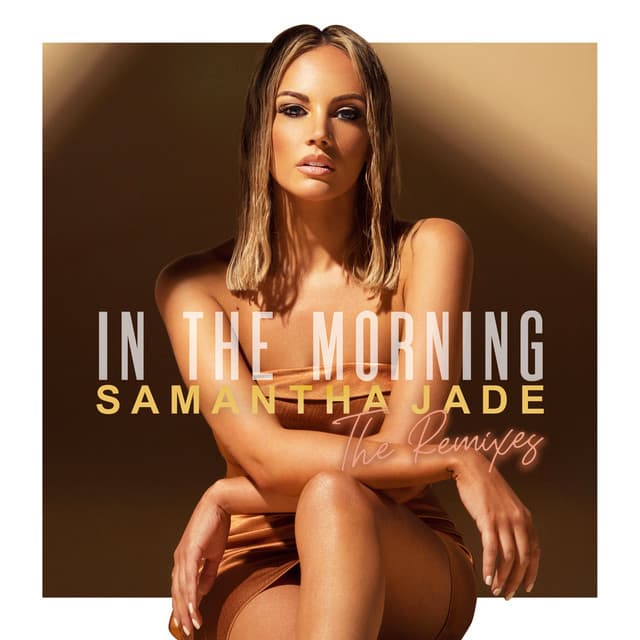 In the Morning - Dan Slater Remix cover art