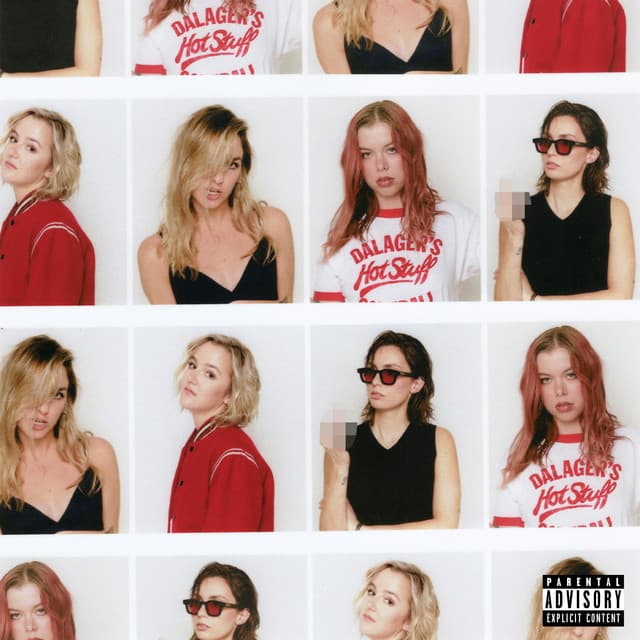 Did I Say Too Much cover art