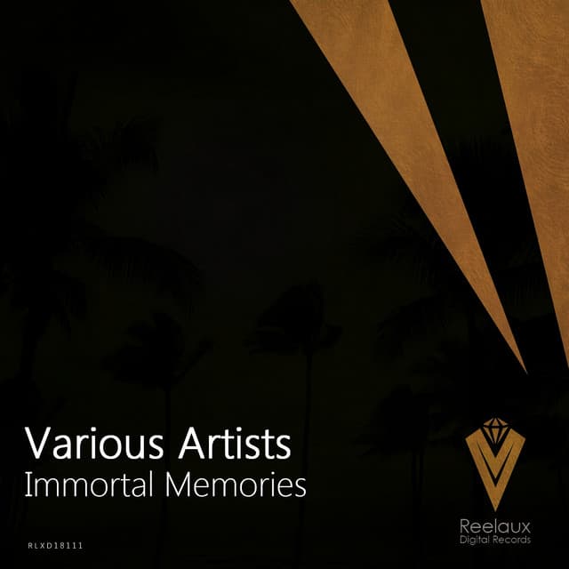 Immortal Memories - Napalm & D-Phrag Remix cover art