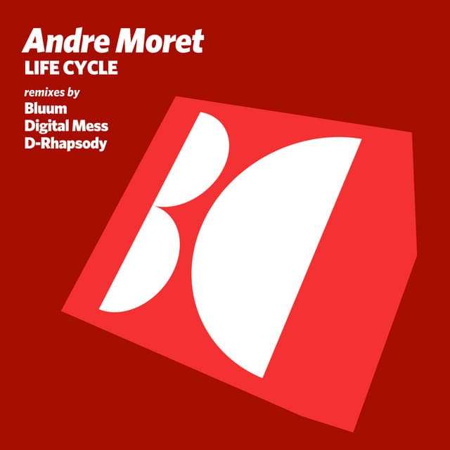 Life Cycle - D-Rhapsody Remix cover art