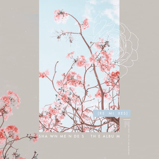 The Album (Remixes) cover art