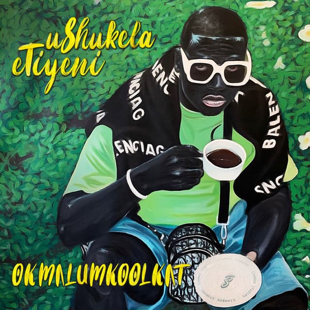 The Mpahlas - Remix cover art