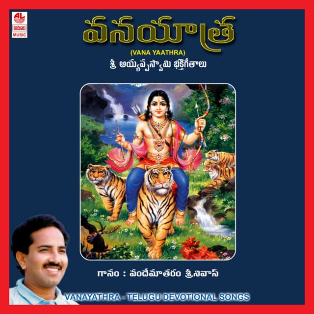 Vinnapaalu Vinavayya cover art