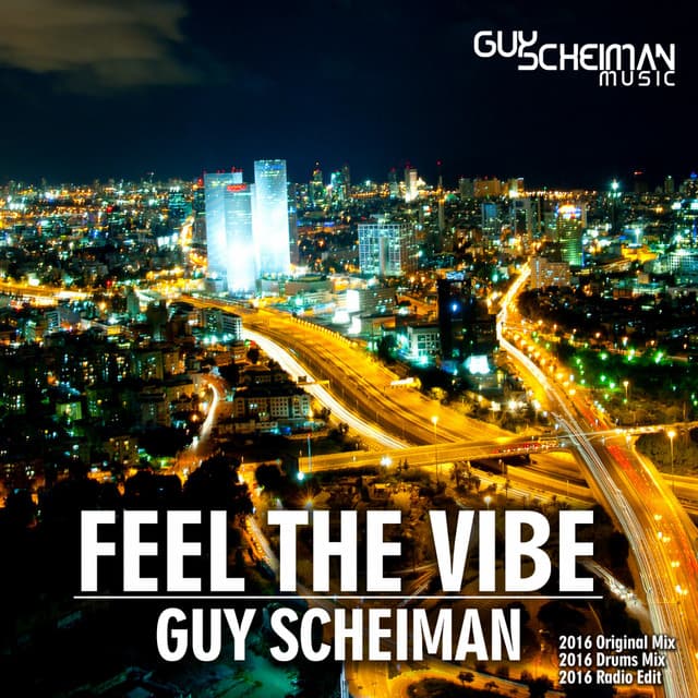 Feel the Vibe - 2016 Radio Edit cover art