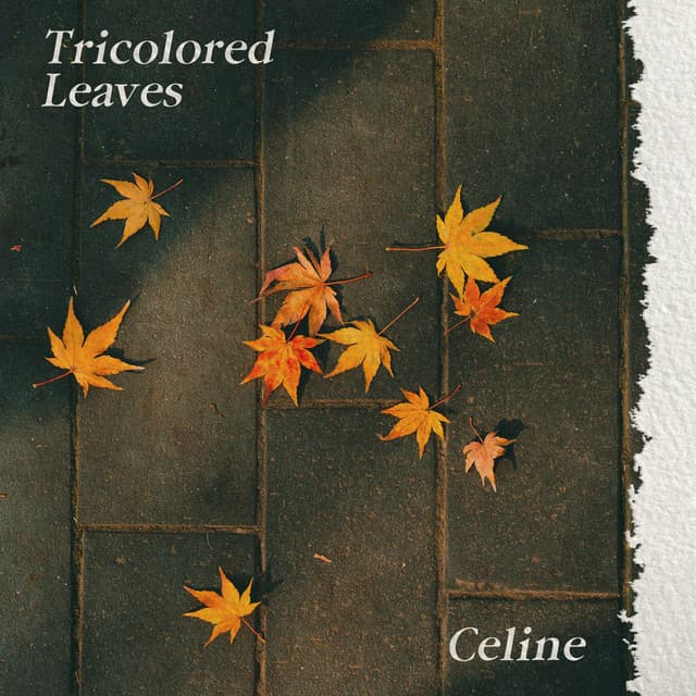 Sound Of Fallen Leaves cover art
