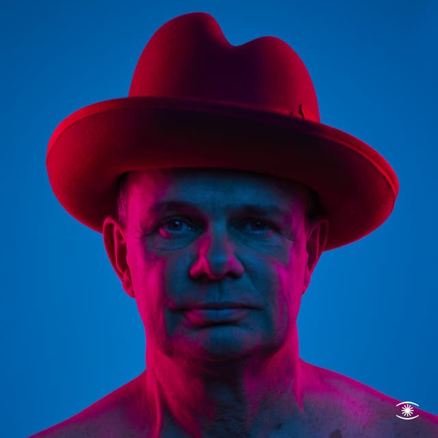 All I Want is You cover art