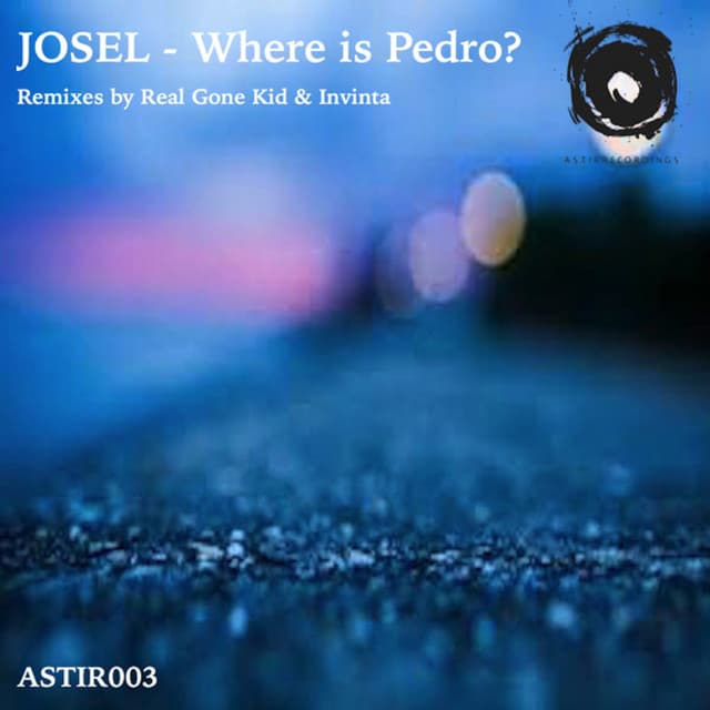 Where Is Pedro? - Real Gone Kid's Lost in the Crowd Remix cover art