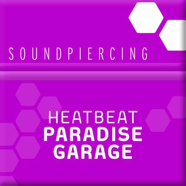 Paradise Garage - DJ Eco Remix cover art