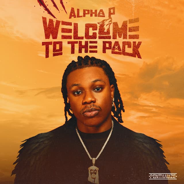 Light cover art