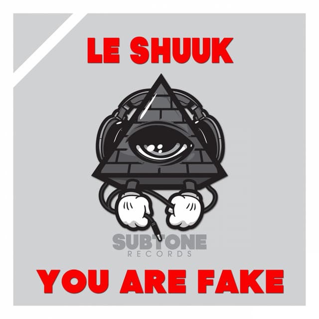 You Are Fake - Original Radio Edit cover art