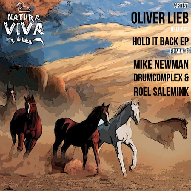 Hold It Back - Drumcomplex & Roel Salemink Remix cover art