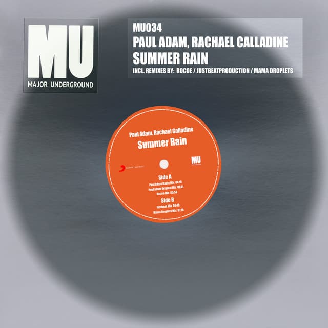 Summer Rain - Rocoe Mix cover art
