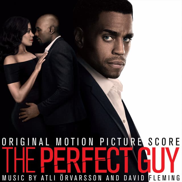 The Perfect Guy cover art