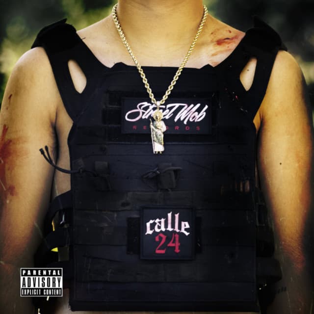 Mi Nueva Familia cover art