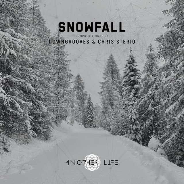 Snowfall (DJ Mix) cover art