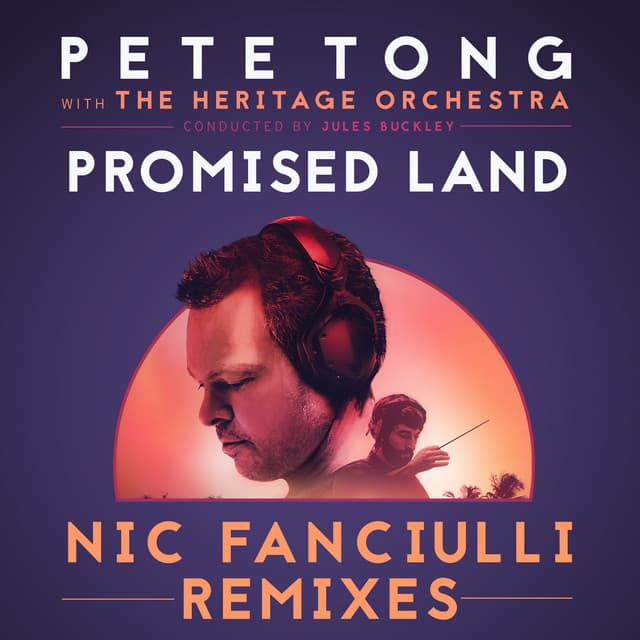Promised Land - Nic Fanciulli Dub Remix cover art