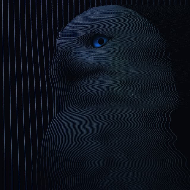 Bowies & Blackberries cover art