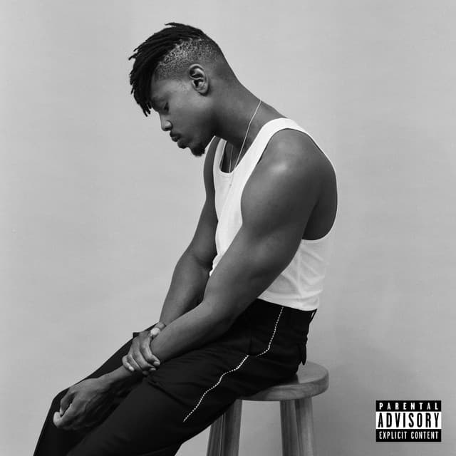 Law of Attraction cover art